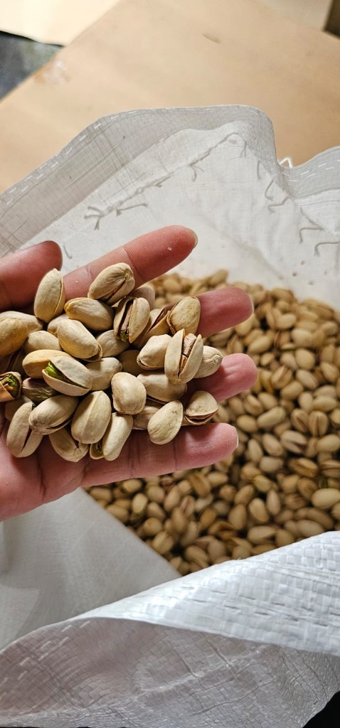 Dada Pistachio Hand Closeup